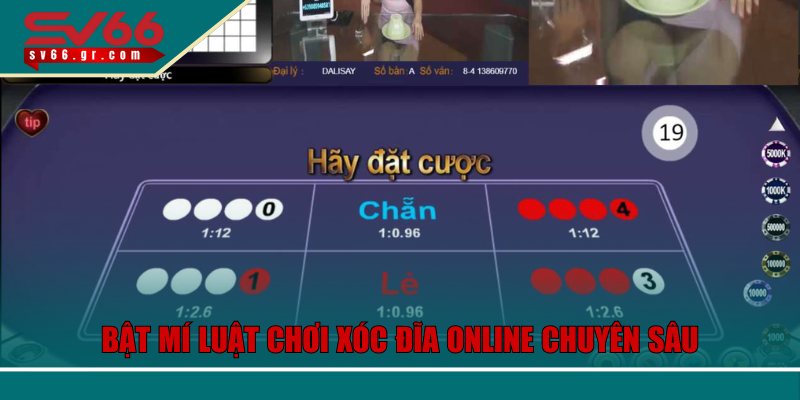 Xóc Đĩa Online Tại SV66 – Trải Nghiệm Nhanh, Tỷ Lệ Thắng Cao 3 Bật mí luật chơi xóc đĩa online chuyên sâu