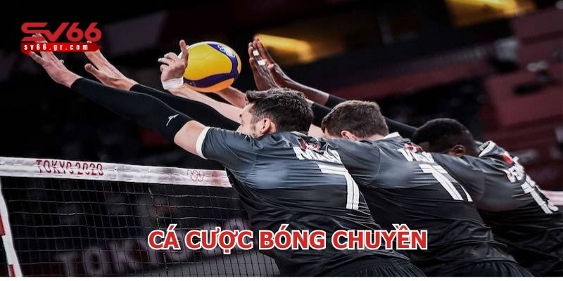 Cá cược bóng chuyền – Trải nghiệm kịch tính tại SV66 1 cá cược bóng chuyền